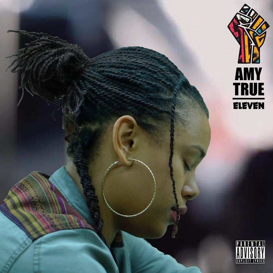 Cover of AMY TRUE's Eleven