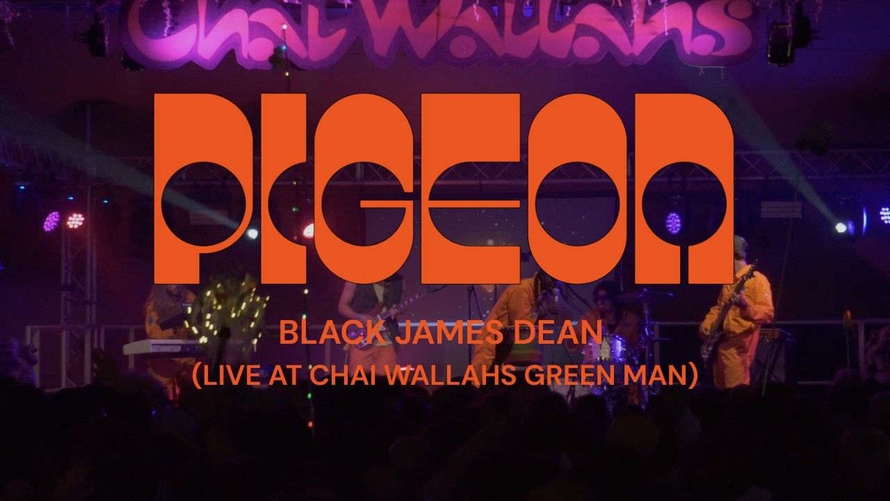 PIGEON performing live