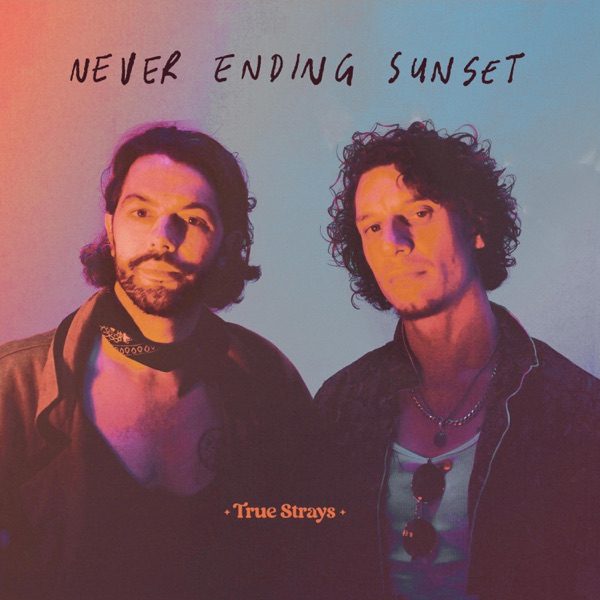Cover of TRUE STRAYS's NEVER ENDING SUNSET