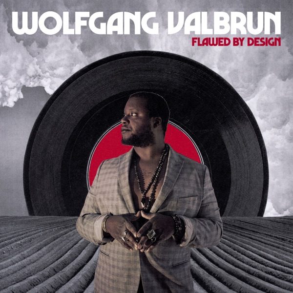 Cover of WOLFGANG VALBRUN's Flawed by Design